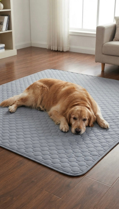Tapis Rafraîchissant 🐾