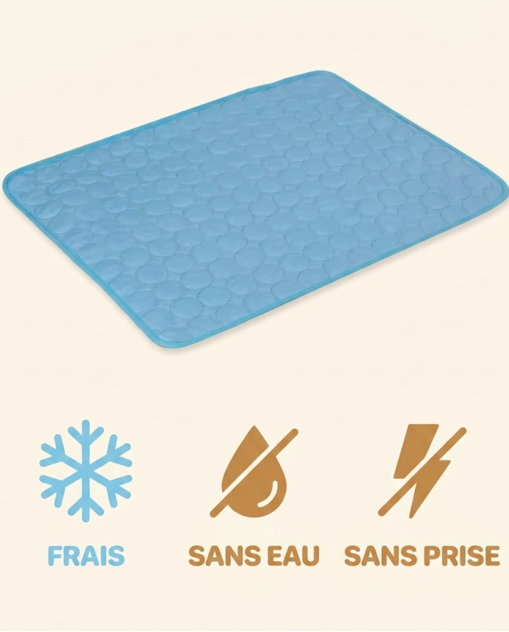Tapis rafraîchissant, frais sans eau sans prise