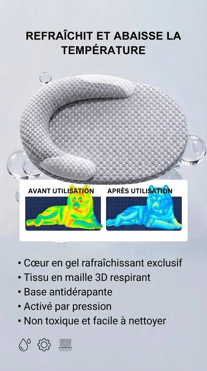 Panier Rafraîchissant 🐾
