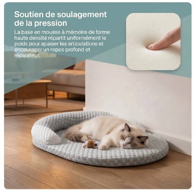 Panier Rafraîchissant 🐾